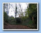 [Click to enlarge image]