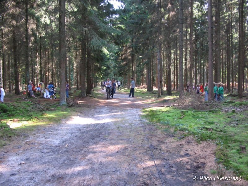 IMG_7154
