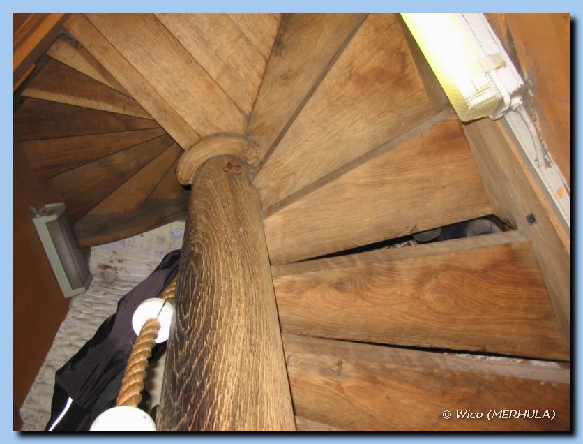 IMG_6350