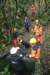 img_8842_small.jpg