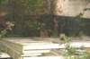 img_8865_small.jpg