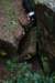 img_8884_small.jpg