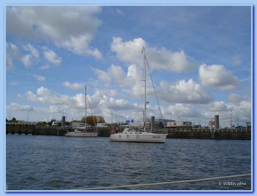 DSC08530