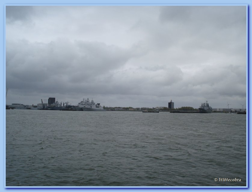 DSC08565