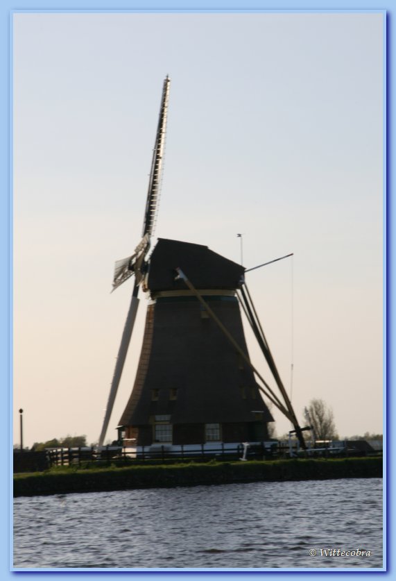 IMG_4949