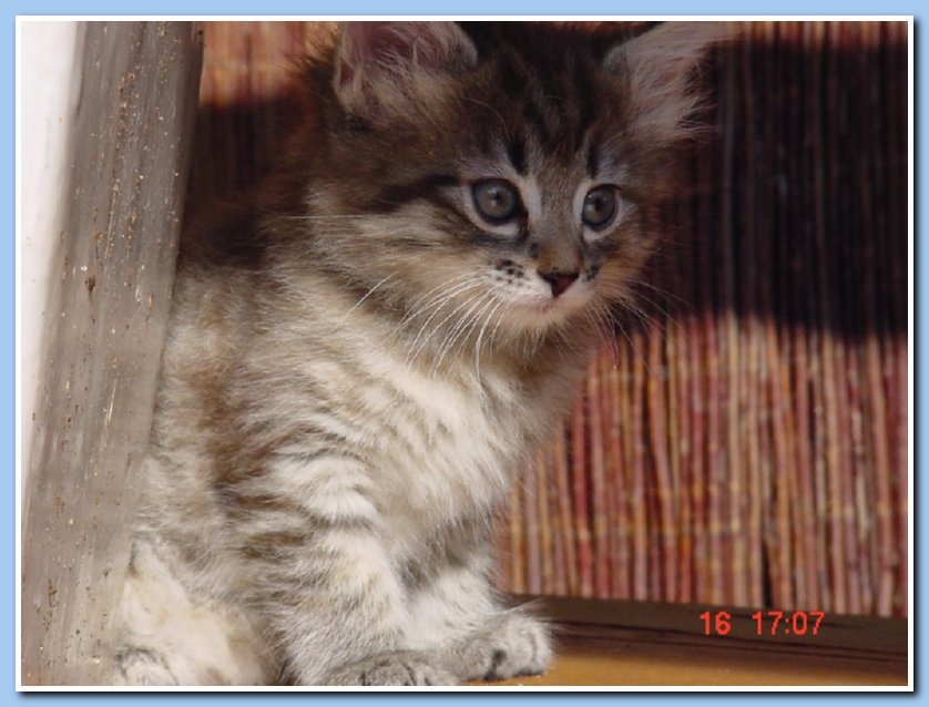 001Mystery06-09-05