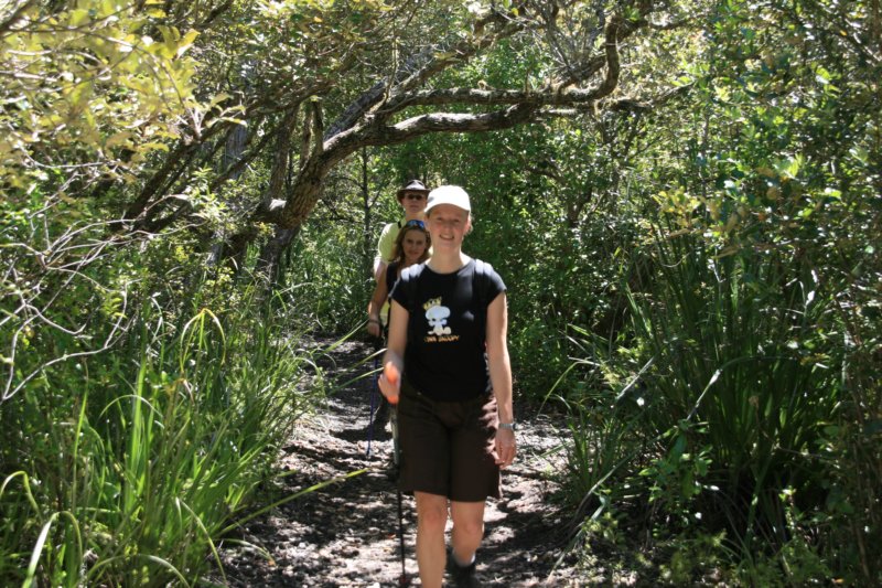 nz1010.jpg