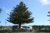 nz103_small.jpg