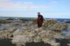 nz107_small.jpg