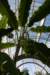 nz1280_small.jpg