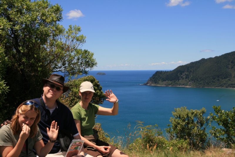 nz1298.jpg