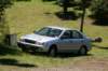 nz1328_small.jpg