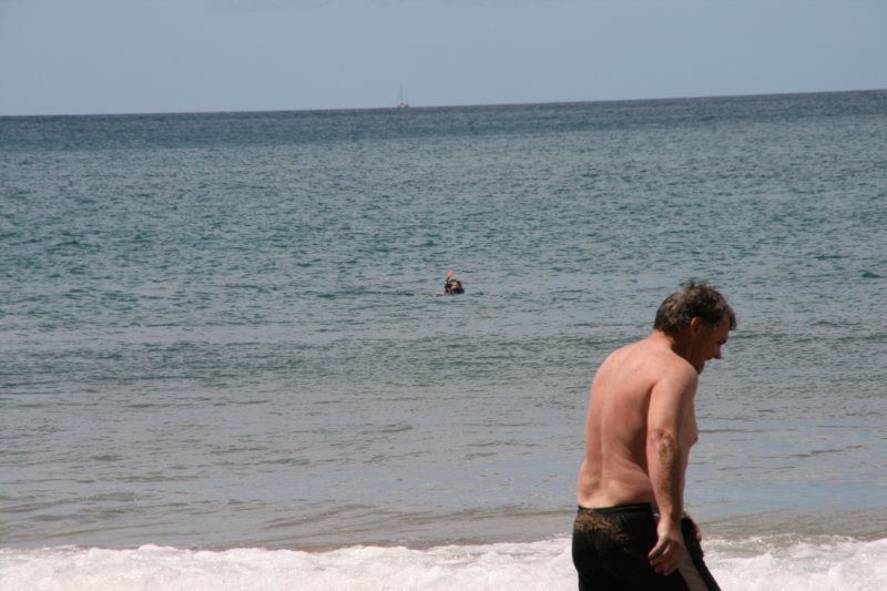 nz1346.jpg