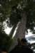 nz1412_small.jpg