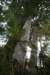 nz1419_small.jpg