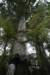 nz1420_small.jpg