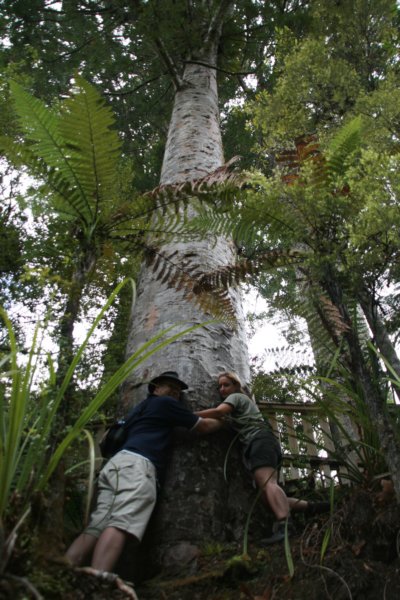 nz1422.jpg
