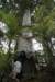 nz1422_small.jpg