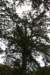 nz1425_small.jpg