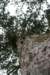 nz1426_small.jpg