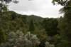 nz1431_small.jpg