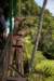 nz1458_small.jpg