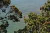 nz1516_small.jpg