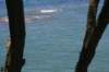 nz1527_small.jpg