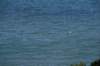 nz1552_small.jpg