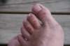 nz1563_small.jpg