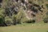 nz165_small.jpg