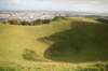 nz1686_small.jpg