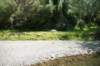 nz168_small.jpg