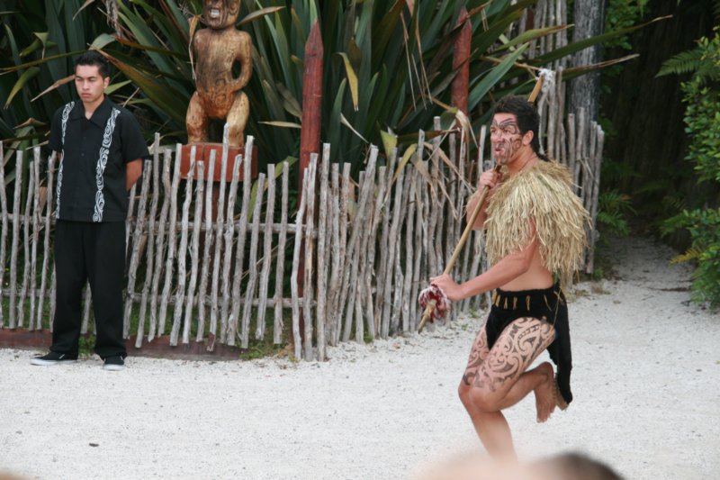 nz1703.jpg