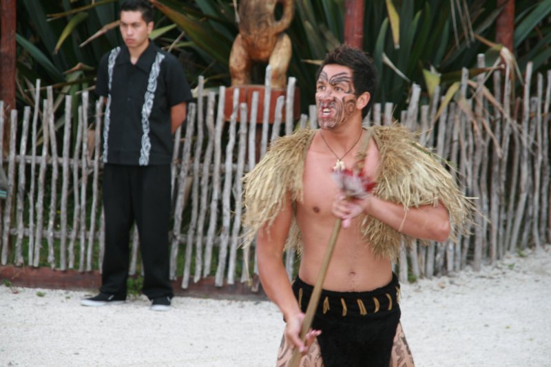 nz1706.jpg
