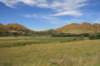 nz173_small.jpg