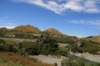 nz174_small.jpg