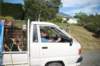 nz177_small.jpg