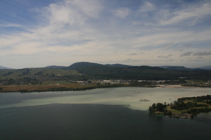 nz1785.jpg
