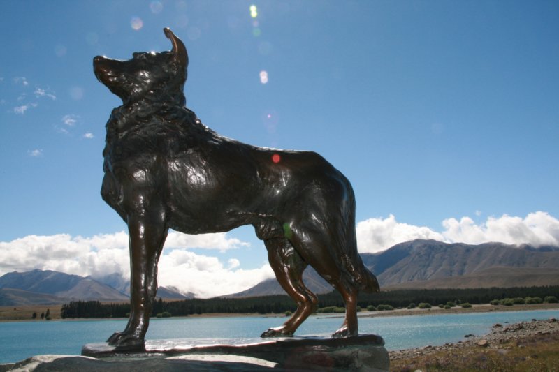 nz186.jpg