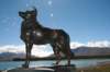 nz186_small.jpg