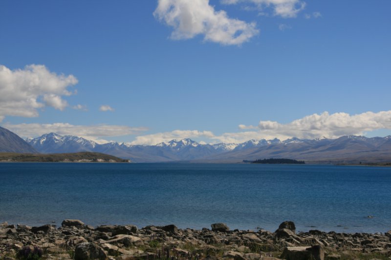 nz187.jpg