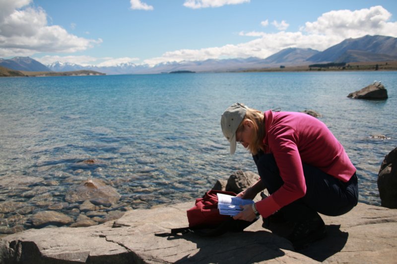 nz196.jpg