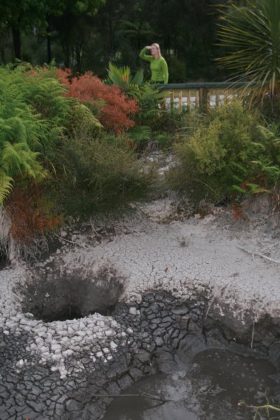 nz2000.jpg