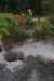 nz2000_small.jpg