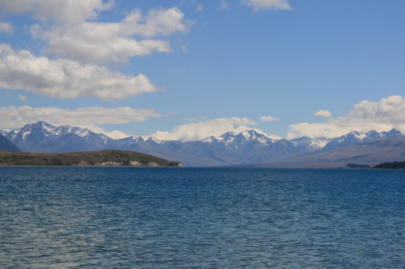 nz201.jpg
