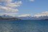 nz201_small.jpg
