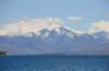 nz202_small.jpg