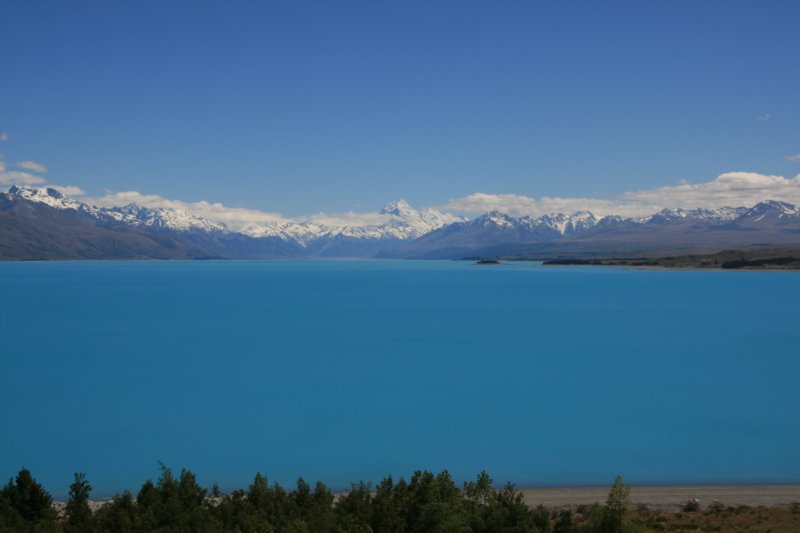 nz203.jpg