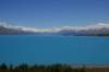 nz203_small.jpg